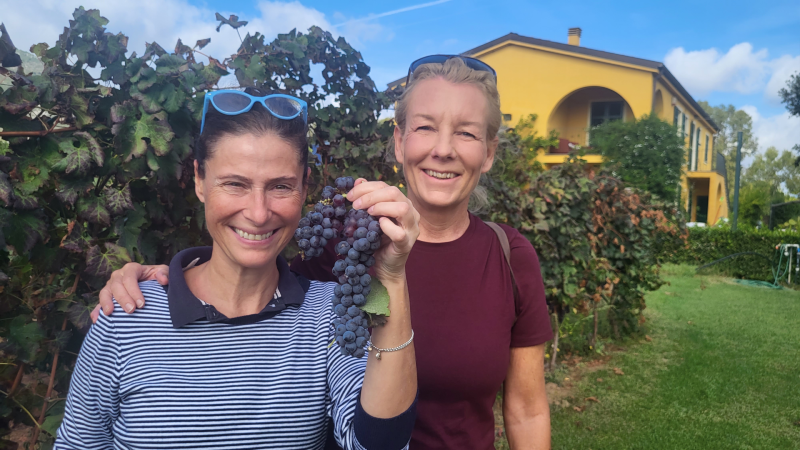 VINGÅRD, CAPO CACCIA